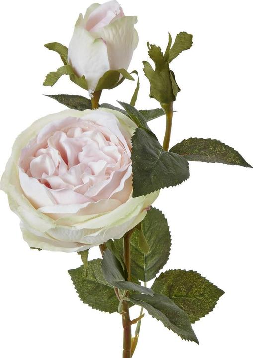 Actual product image Hill Interiors The Natural Garden Collection Rose Artificial Flower (58 cm)