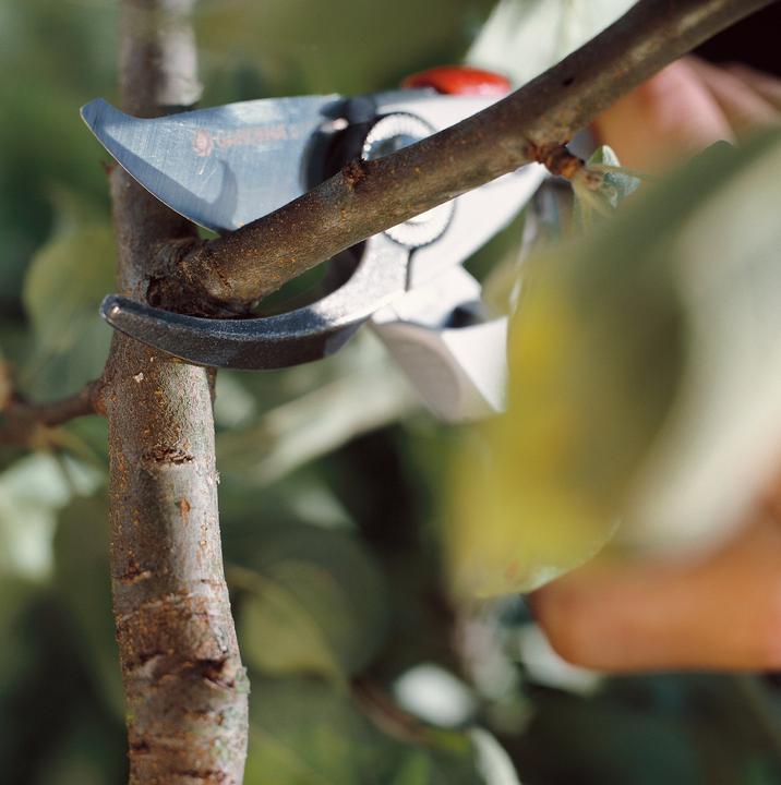 Actual product image Gardena Premium BP50