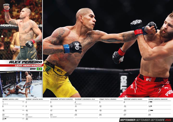 Produktbild MMA Kalender 2025 (42 x 30 cm, Deutsch)