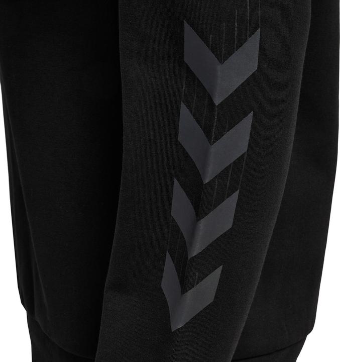 Image du produit hummel hmlTRAVEL Sweat Sweat à capuche Homme (S)