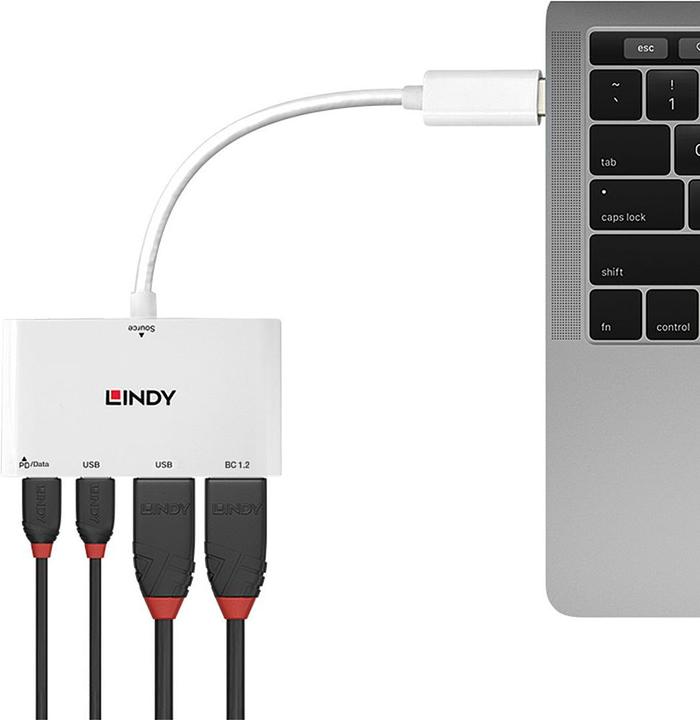 Produktbild Lindy 43093 (USB-C, 4 Ports)