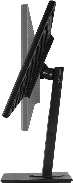 Actual product image ASUS Be249qlb (1920 x 1080 pixels, 23.82")
