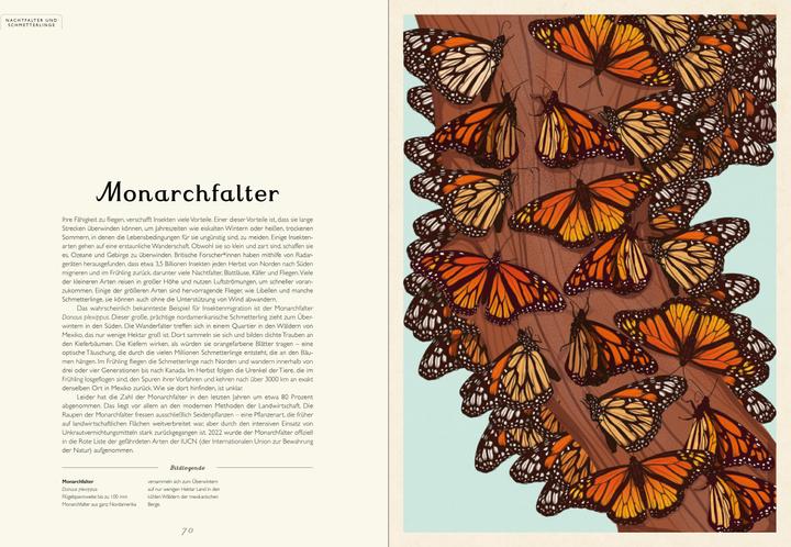 Immagine prodotto Das Museum der Insekten (Tedesco, Dave Goulson, Emily Carter, 2024)