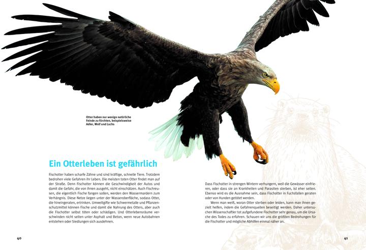 Image du produit Entdecke die Otter (Allemand, Krüger, Hans-Heinrich(Dr.), 2023)