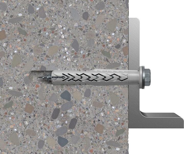 Actual product image Fischer 540134 (50 pcs.)