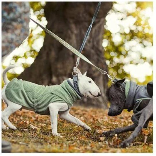 Immagine prodotto Hurtta Collare Razzle-Dazzle nero 55-65 cm (56, 58, 60, 62, Cane, Generale)