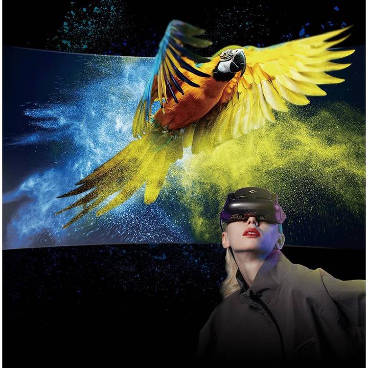 Actual product image Goovis P2 Video Monitor 1.8cm (0.71 inch) 1920 x 1081 Pixel 16:9 (1080p) 0.01 ms HDMI® OLED