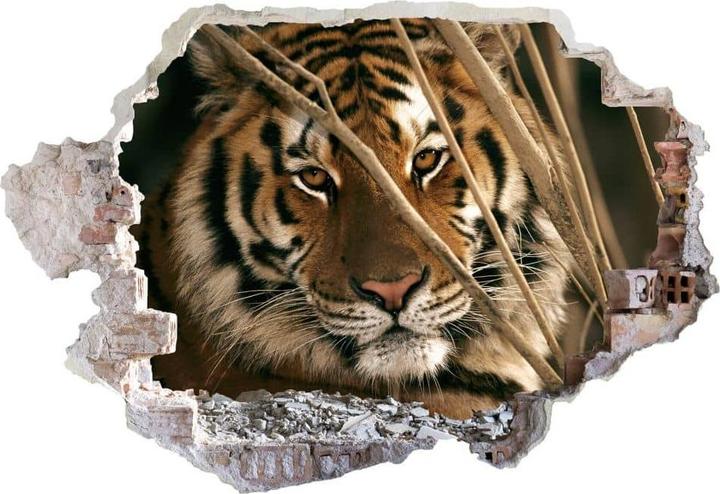 Produktbild Trenddeko 3D National Geographic Tiger (120 x 82 cm)