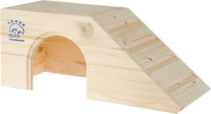 Meerschweinchenhaus Treppe
