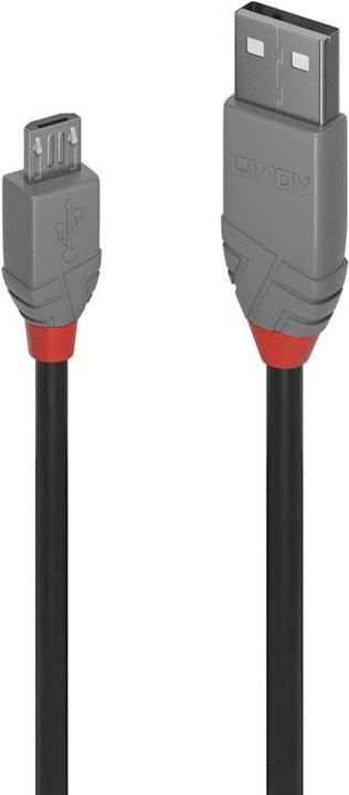 Immagine prodotto Lindy linea nera (1 m, USB 3.1)