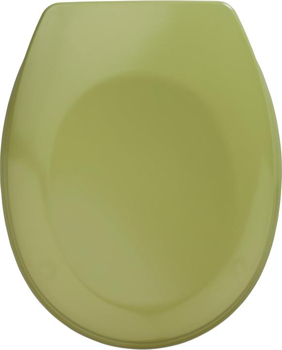 Verde muschio