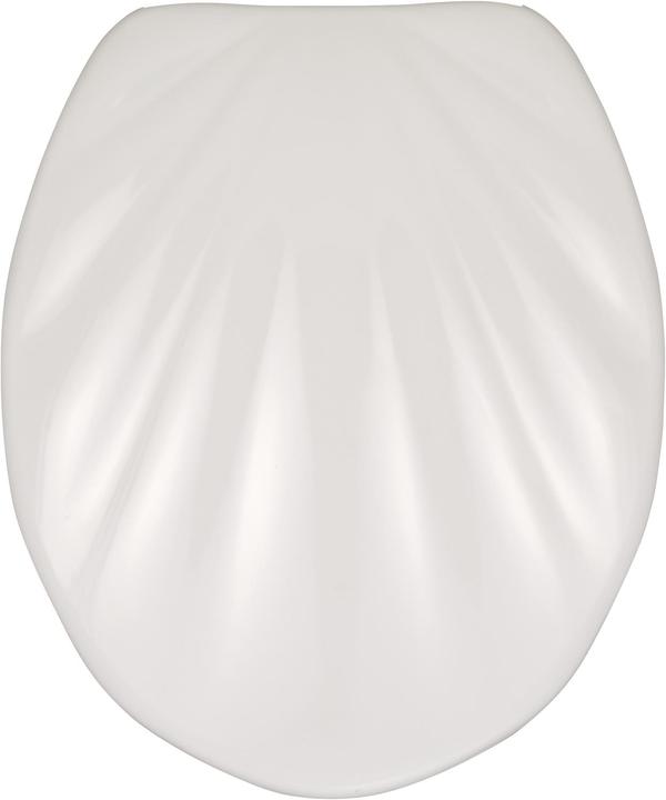 Actual product image Wenko Mussel