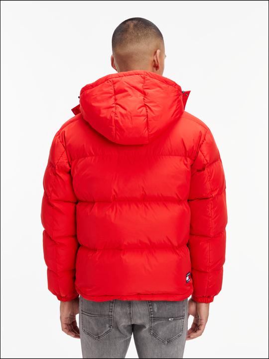 Actual product image Tommy Jeans Alaska (L)