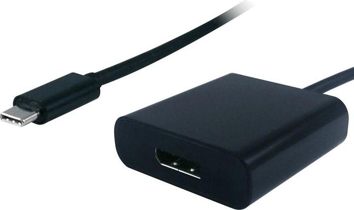 Image du produit Value USB Typ-C zu (DP, 10 cm)