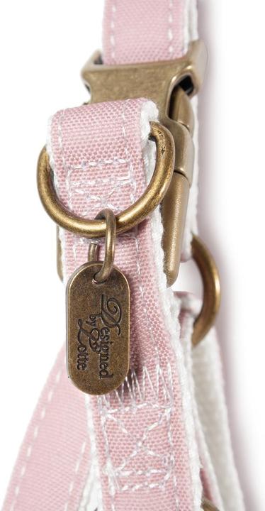 Immagine prodotto Designed by Lotte Virante (45, Cane, Passeggiare)