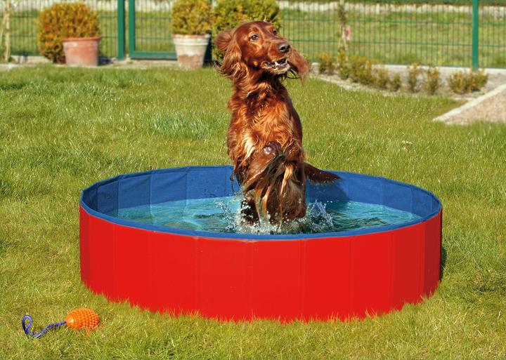 Actual product image Karlie Doggy (Dog pool)