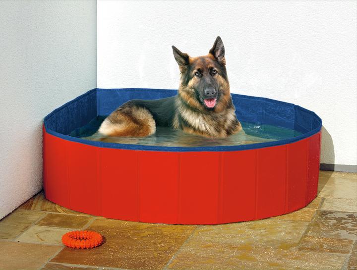 Immagine prodotto Karlie Doggy