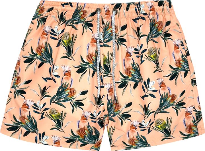 Bondi Joe Banksia