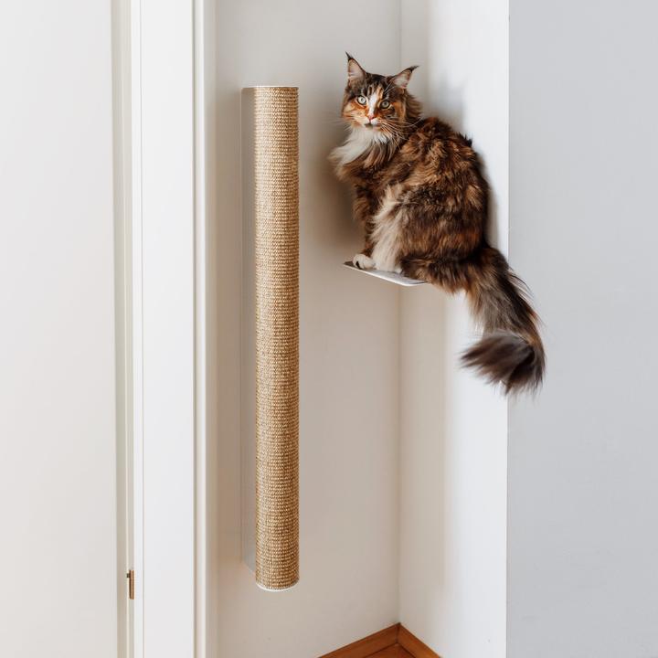 Produktbild LucyBalu CATWALK Kratzstamm (9 cm, Weiss, Sand)