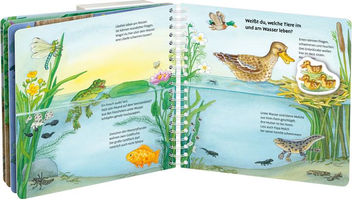 Image du produit Ravensburger Mein grosses Magnetbuch: Wer wohnt wo? (Allemand)