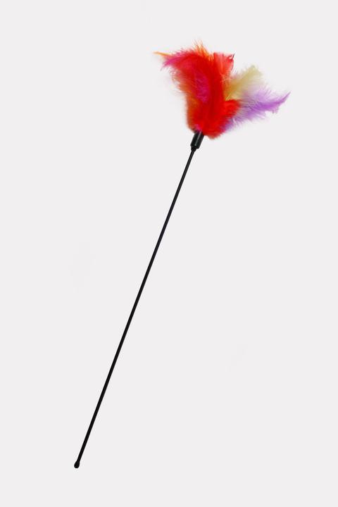 Actual product image Karlie The cat's feathered whisk (Play fishing rod cat)
