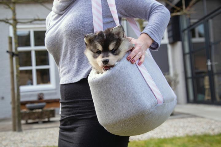 Immagine prodotto Beeztees Wolly (Cane, Pieghevole)