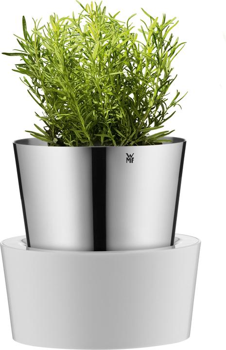 Actual product image Auerhahn Kräutertopf (12.80 cm)