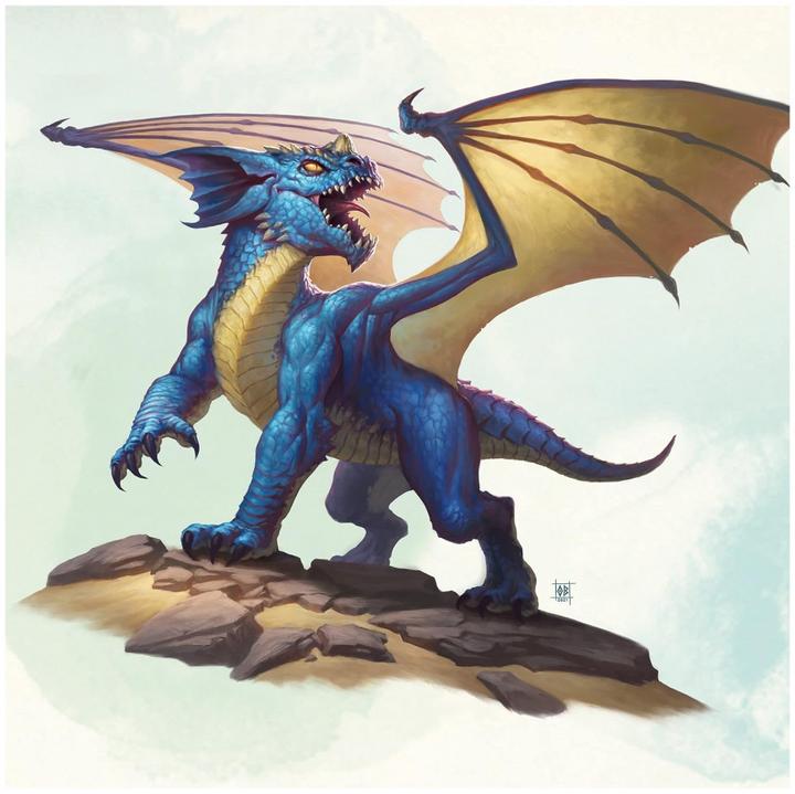 Immagine prodotto Wizards of the Coast Dungeons & Dragons - Set iniziale - Inglese (Inglese)