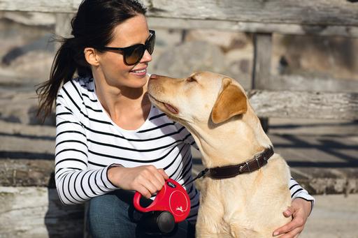 Image du produit Flexi Nouveau classique (M, L, Chien, Promenade)