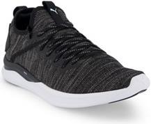 Produktbild Puma Ignite Flash Damen Sneaker (36)