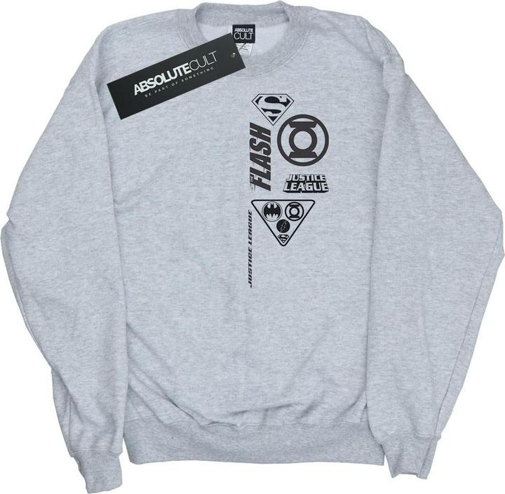 Justice League Chest Icons Sweatshirt Jungen