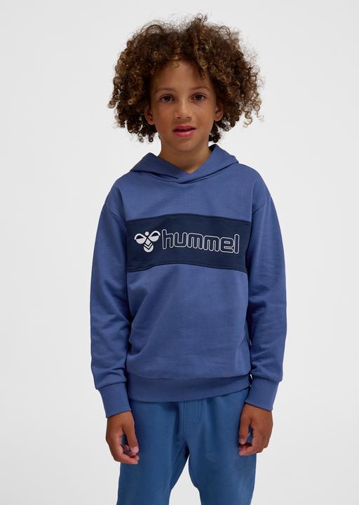 Image du produit hummel hmlATLAS HOODIE (110)