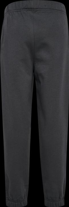 Image du produit hummel hmlALVIN PANTS (104)