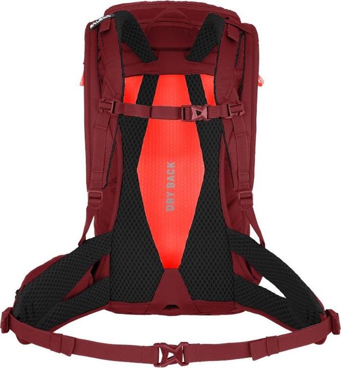 Immagine prodotto Salewa Alp Trainer L Zaino Da (20 l)