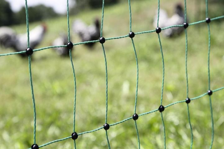 Actual product image Kerbl PoultryNet
