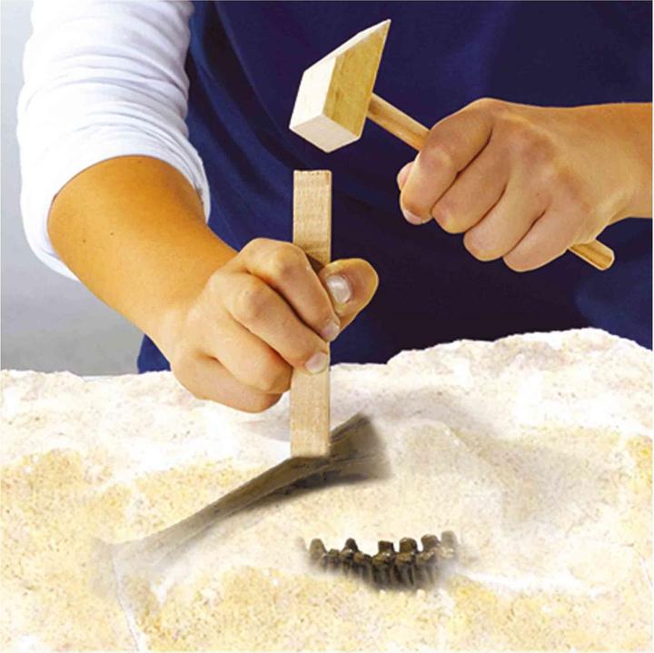 Immagine prodotto Ses Esplora Dino e Scheletro Scava 2in1 - Triceratopo