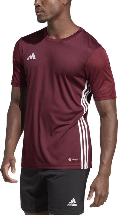 Produktbild adidas Herren Tabelle 23 Trikot Burgund IB4928 (XL) (XL)