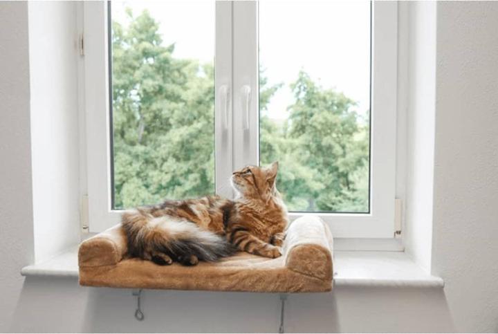 Produktbild Kerbl Fensterliegebrett (Hund, Katze)
