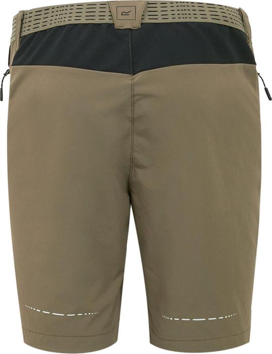 Actual product image Regatta Mens Mountain II Shorts (50 D)