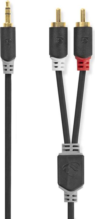 Immagine prodotto Nedis CABW22200AT20. Connessione 1: 3,5 mm, Connessione 2: 2 x RCA, Materiale del cavo: Alluminio (2 m)