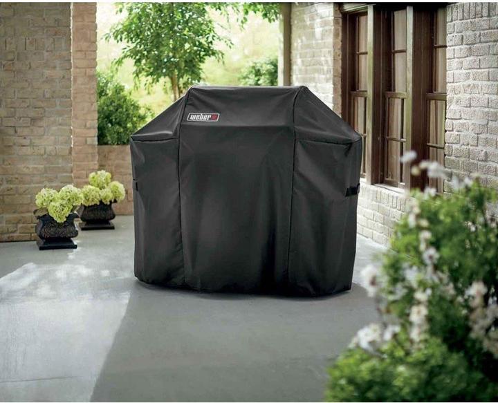 Actual product image Weber Standard