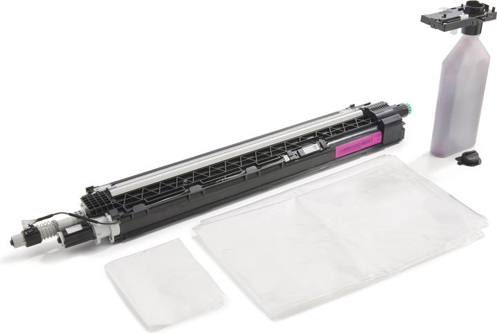 Immagine prodotto HP Unità sviluppatore magenta