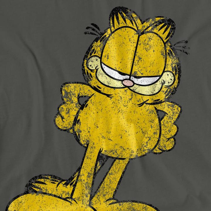Actual product image Garfield Unisex Adult Big Ol' Cat T-Shirt (S)