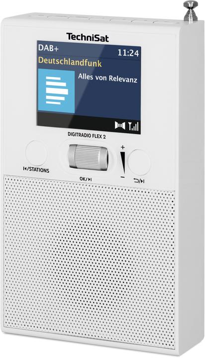 TechniSat DigitRadio Flex 2 (DAB+, UKW, Bluetooth)