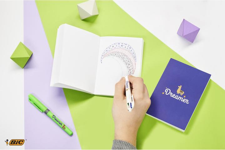 Immagine prodotto Bic Scatola di cartoleria Dreamer Alpaca (Verde, Bianco, 1 x)