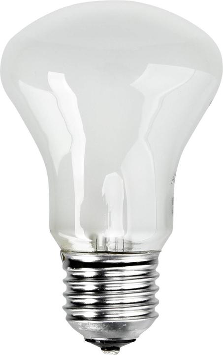 Elinchrom Modeling lamp E23002