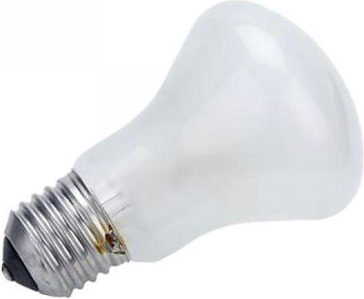 Actual product image Elinchrom Modeling lamp E23002