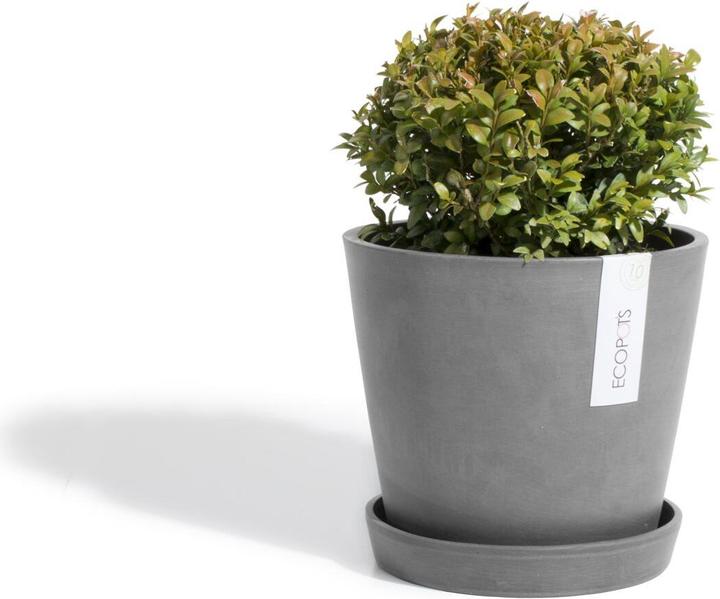 Image du produit Ecopots Soucoupe Amsterdam