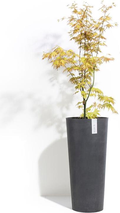 Actual product image Ecopots Amsterdam (32 cm)