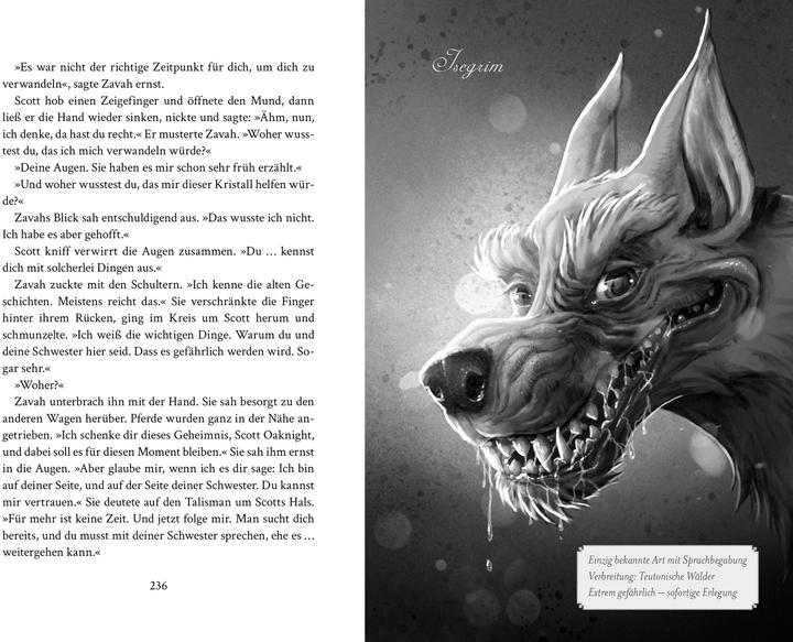 Actual product image Die Oaknight-Chroniken (Bd. 1) (German, A. E. Leinkenjost, Helge Vogt, 2024)